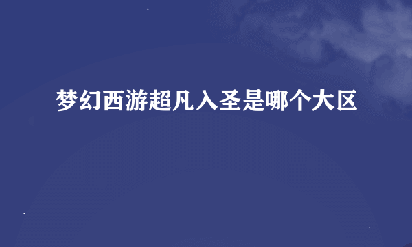 梦幻西游超凡入圣是哪个大区