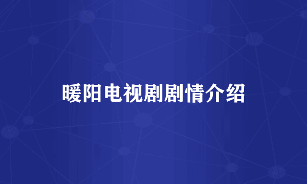 暖阳电视剧剧情介绍
