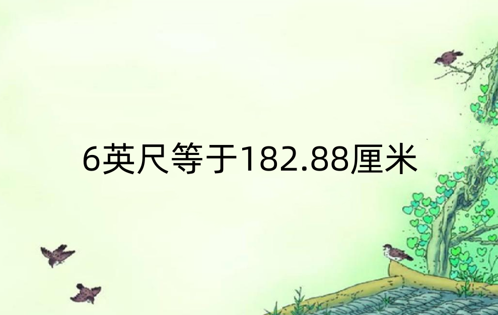 6英尺多少米？