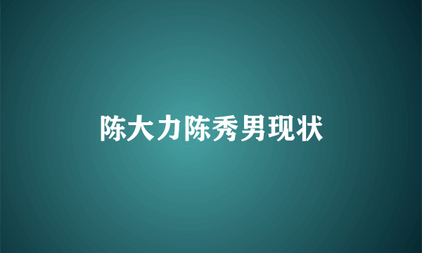 陈大力陈秀男现状
