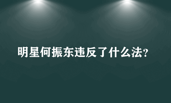 明星何振东违反了什么法？