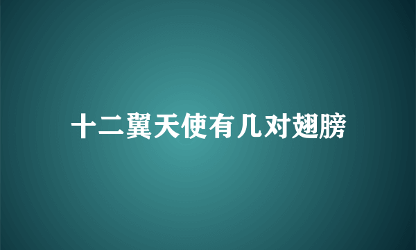 十二翼天使有几对翅膀