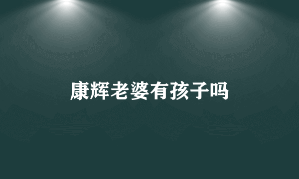 康辉老婆有孩子吗