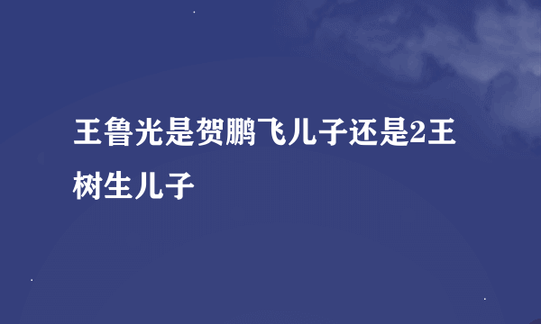 王鲁光是贺鹏飞儿子还是2王树生儿子