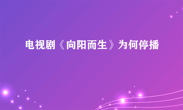 电视剧《向阳而生》为何停播