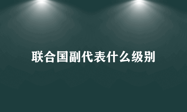 联合国副代表什么级别