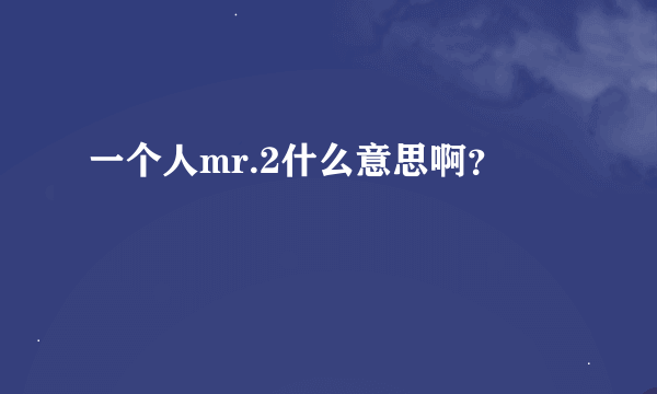 一个人mr.2什么意思啊？