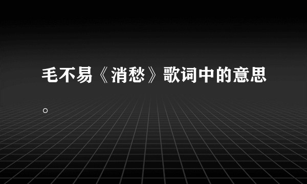毛不易《消愁》歌词中的意思。