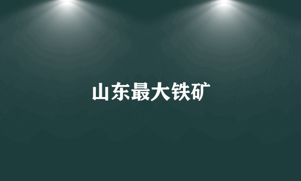 山东最大铁矿