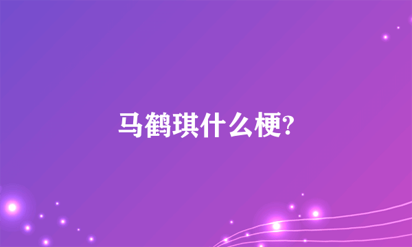 马鹤琪什么梗?
