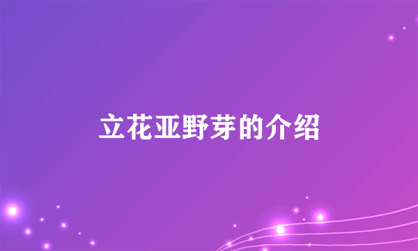 立花亚野芽的介绍