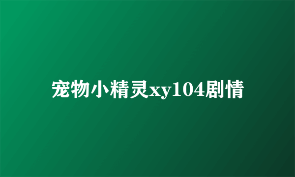 宠物小精灵xy104剧情