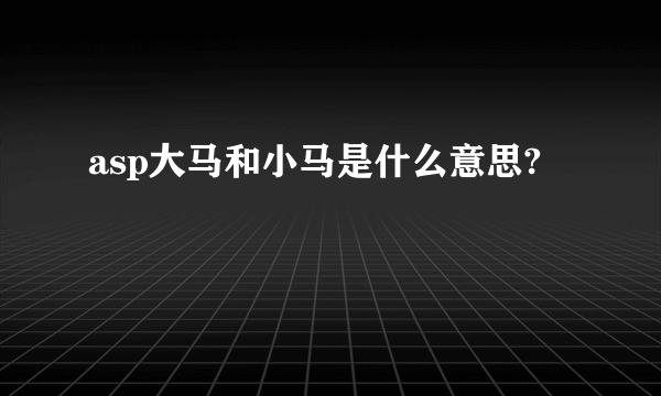 asp大马和小马是什么意思?