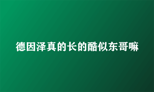 德因泽真的长的酷似东哥嘛