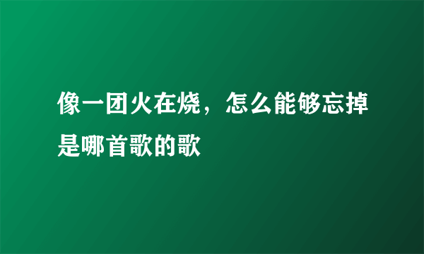 像一团火在烧，怎么能够忘掉是哪首歌的歌