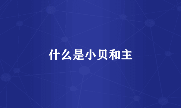 什么是小贝和主