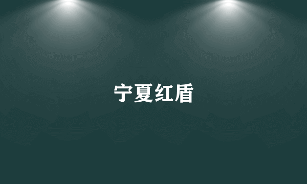 宁夏红盾