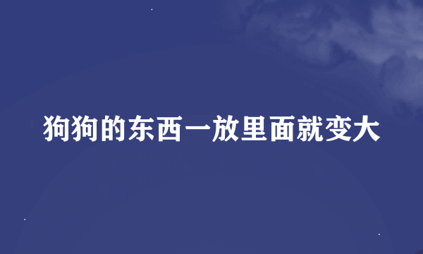 狗狗的东西一放里面就变大
