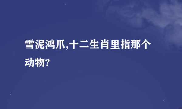 雪泥鸿爪,十二生肖里指那个动物?