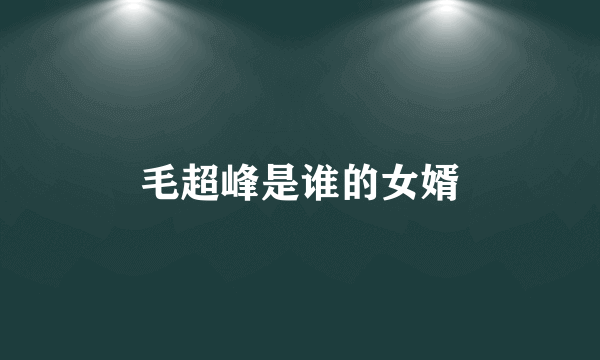 毛超峰是谁的女婿