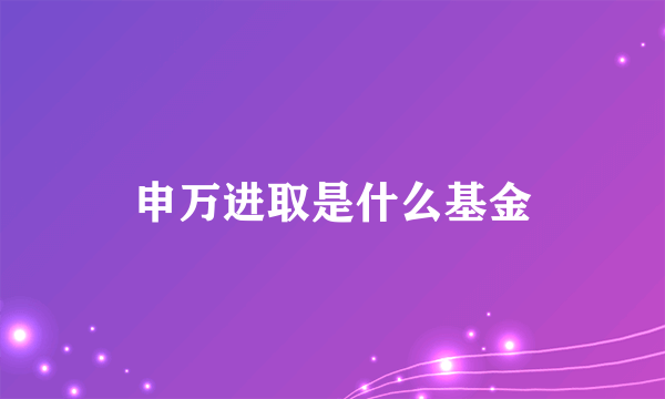 申万进取是什么基金