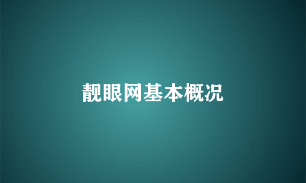 靓眼网基本概况