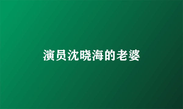 演员沈晓海的老婆