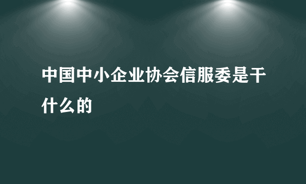 中国中小企业协会信服委是干什么的