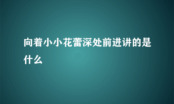 向着小小花蕾深处前进讲的是什么