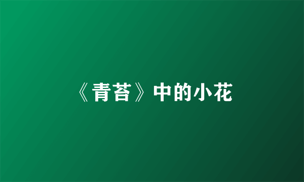 《青苔》中的小花