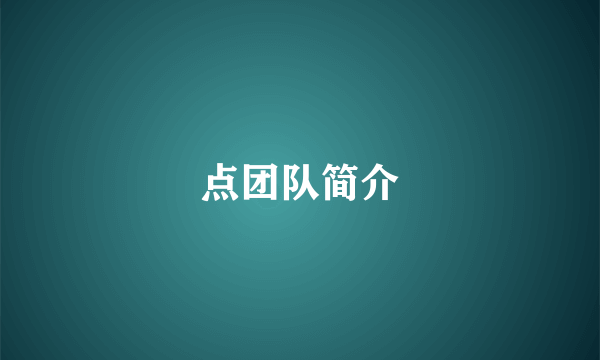 点团队简介