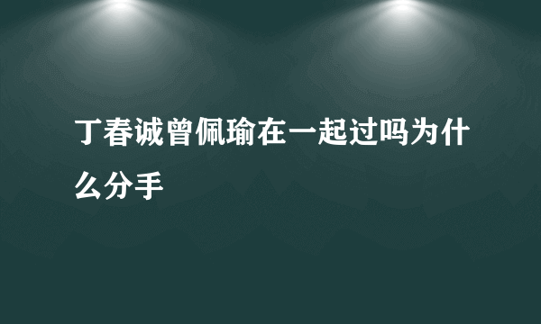 丁春诚曾佩瑜在一起过吗为什么分手