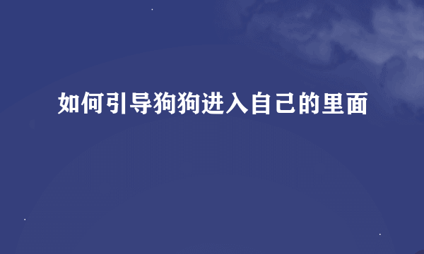 如何引导狗狗进入自己的里面