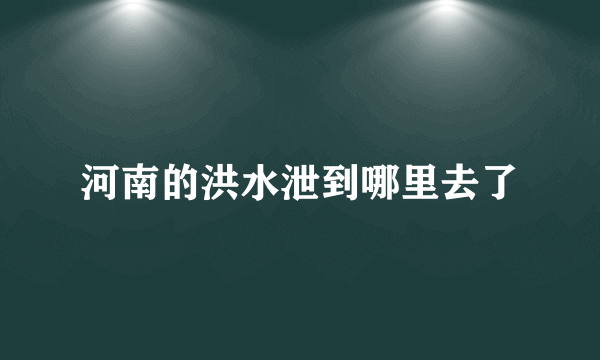 河南的洪水泄到哪里去了