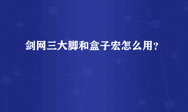 剑网三大脚和盒子宏怎么用？