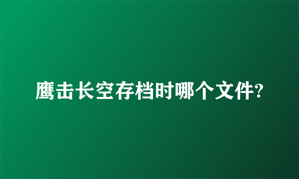 鹰击长空存档时哪个文件?