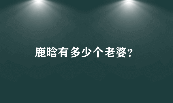 鹿晗有多少个老婆？