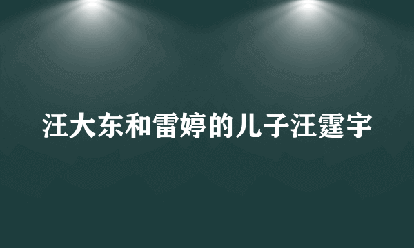 汪大东和雷婷的儿子汪霆宇