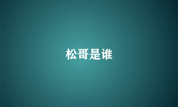 松哥是谁