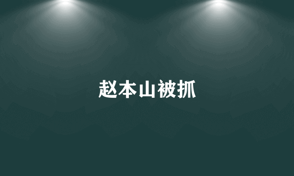 赵本山被抓