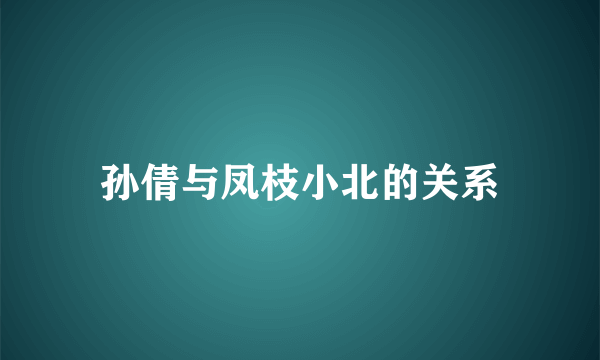 孙倩与凤枝小北的关系