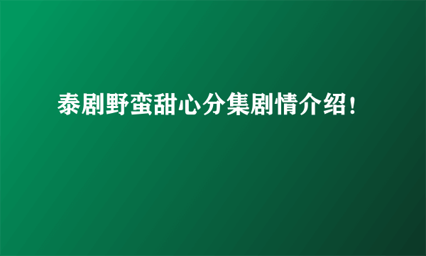 泰剧野蛮甜心分集剧情介绍！