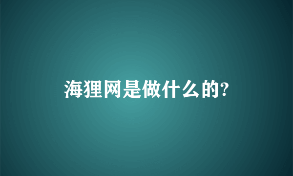 海狸网是做什么的?