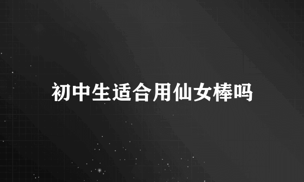 初中生适合用仙女棒吗