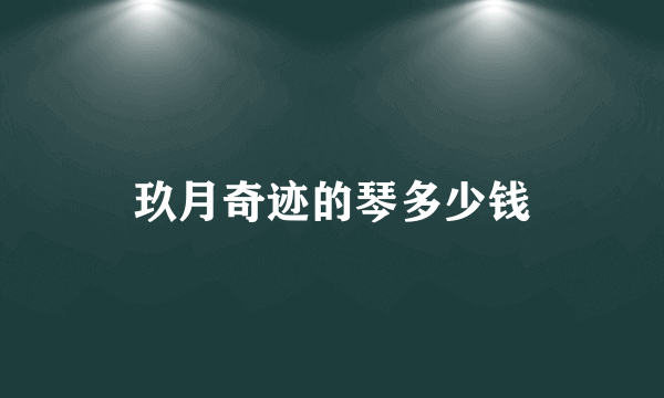 玖月奇迹的琴多少钱
