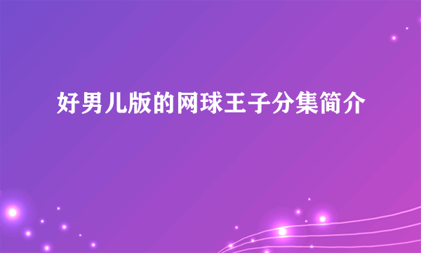 好男儿版的网球王子分集简介