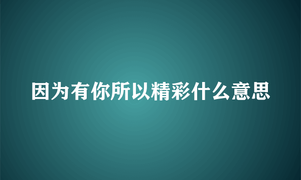 因为有你所以精彩什么意思