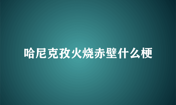 哈尼克孜火烧赤壁什么梗