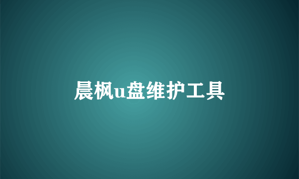 晨枫u盘维护工具