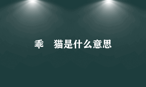 乖囧猫是什么意思
